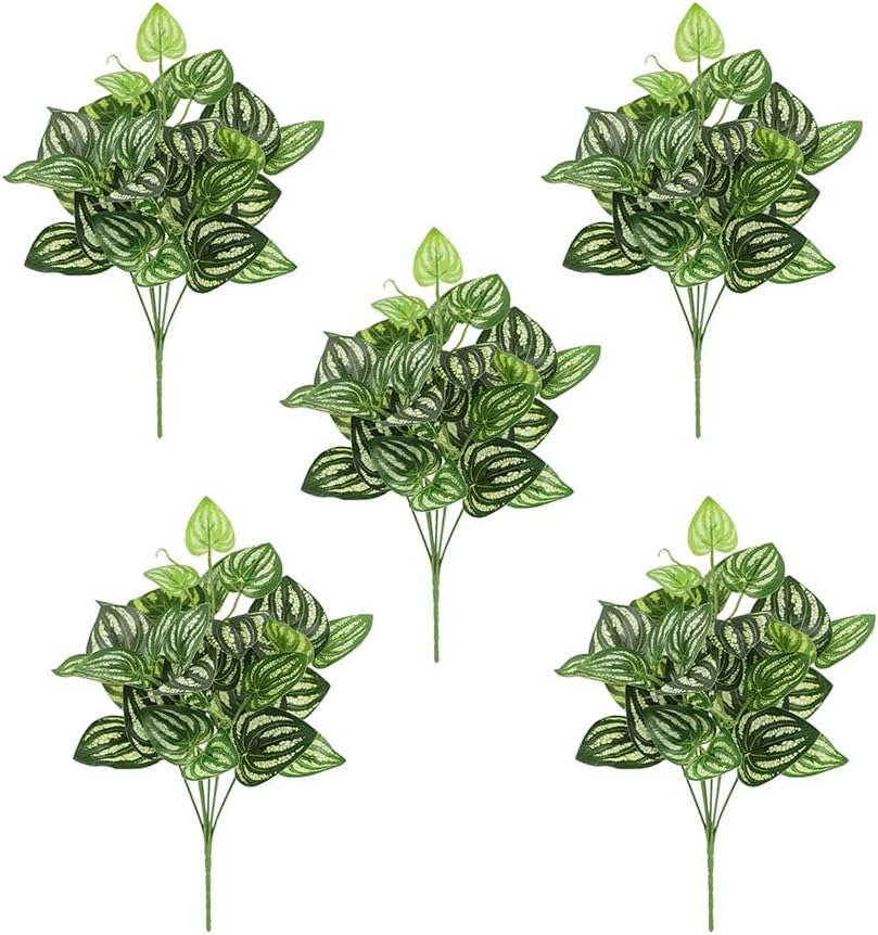 Peperomia Watermelon - 5 sztuk arbuz Peperomia sztuczna roślina