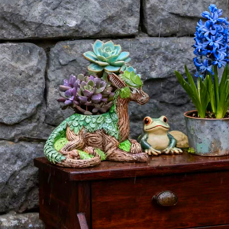 Kreatywna doniczka w kształcie – Echeveria Succulent recenzja i cena
