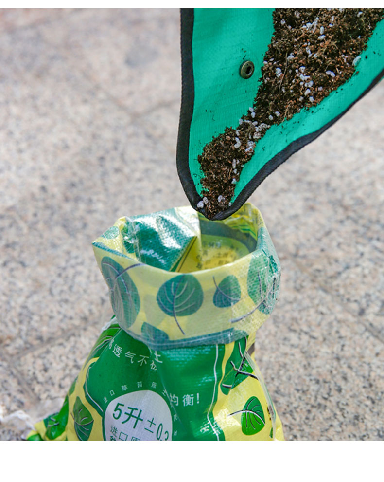 Wodoodporna mata do przesadzan – Echeveria Succulent recenzja i cena