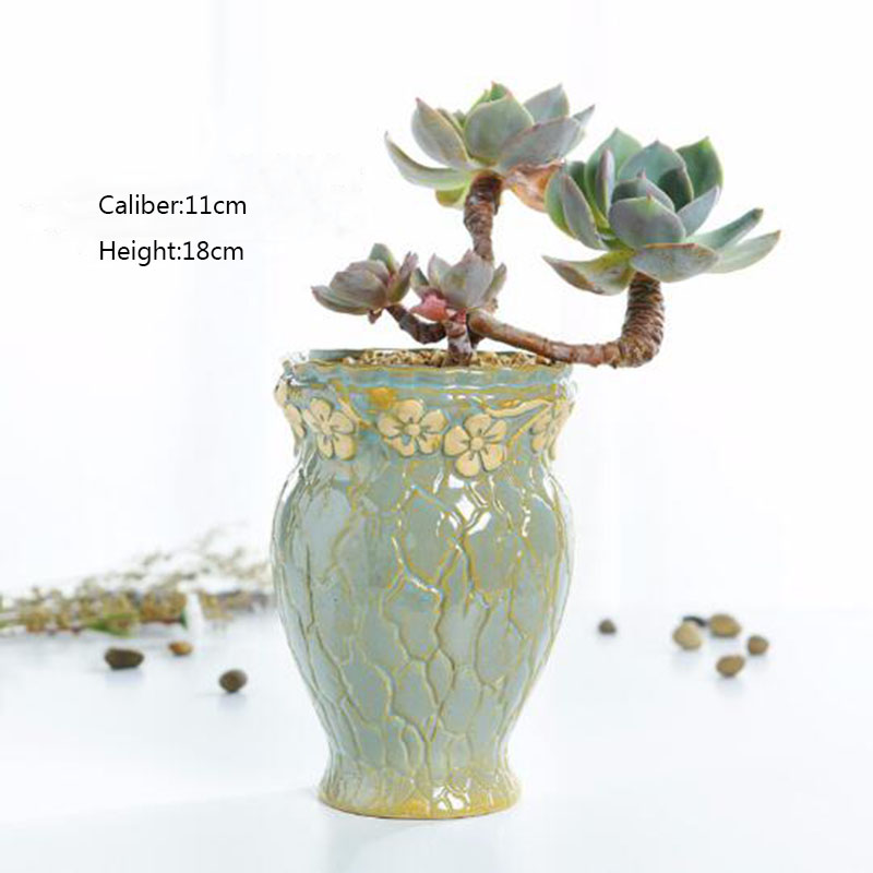 Sukulenty doniczka mały i śred – Echeveria Succulent recenzja i cena