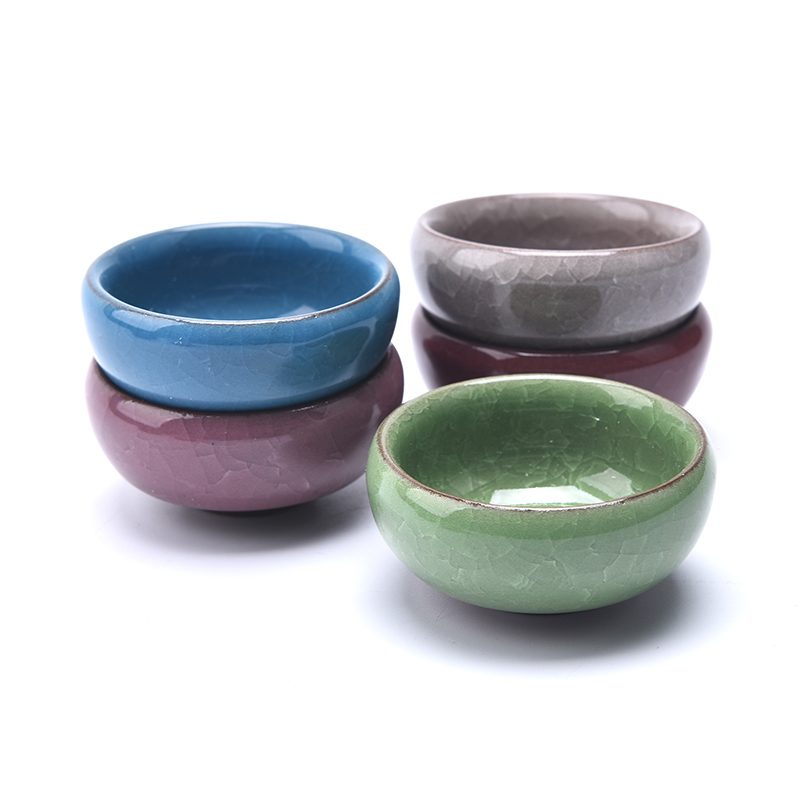 Cute Ice-Crack Glaze Flower Ce – Echeveria Succulent recenzja i cena