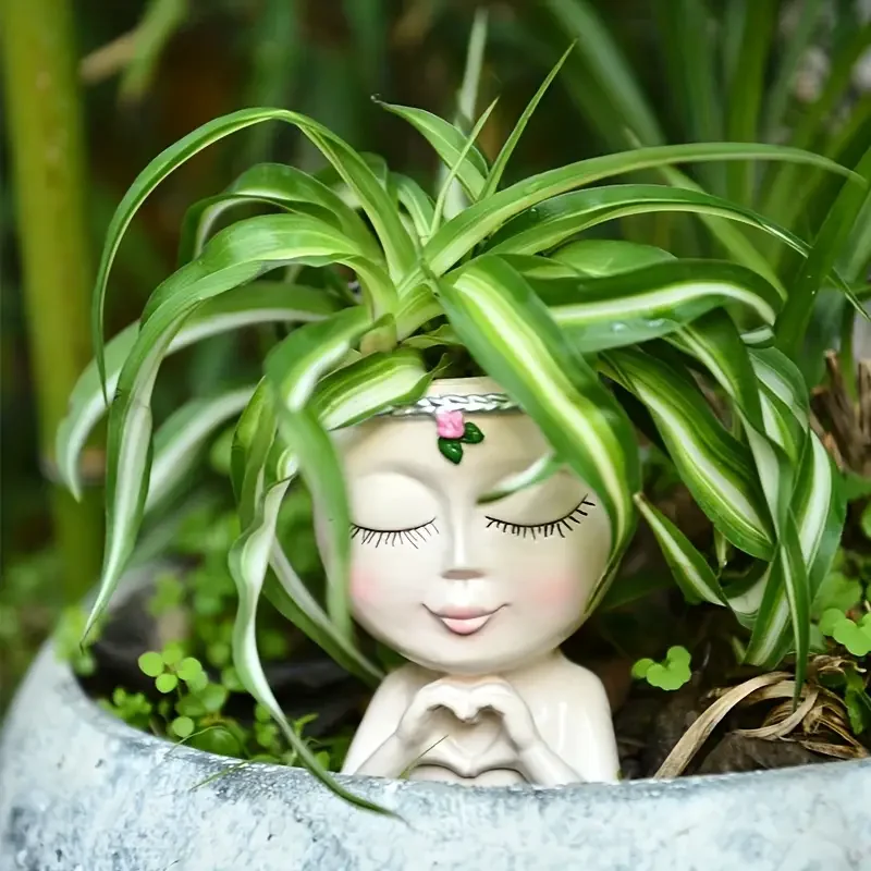 Doniczka na sukulenty z żywicy – Echeveria Succulent recenzja i cena