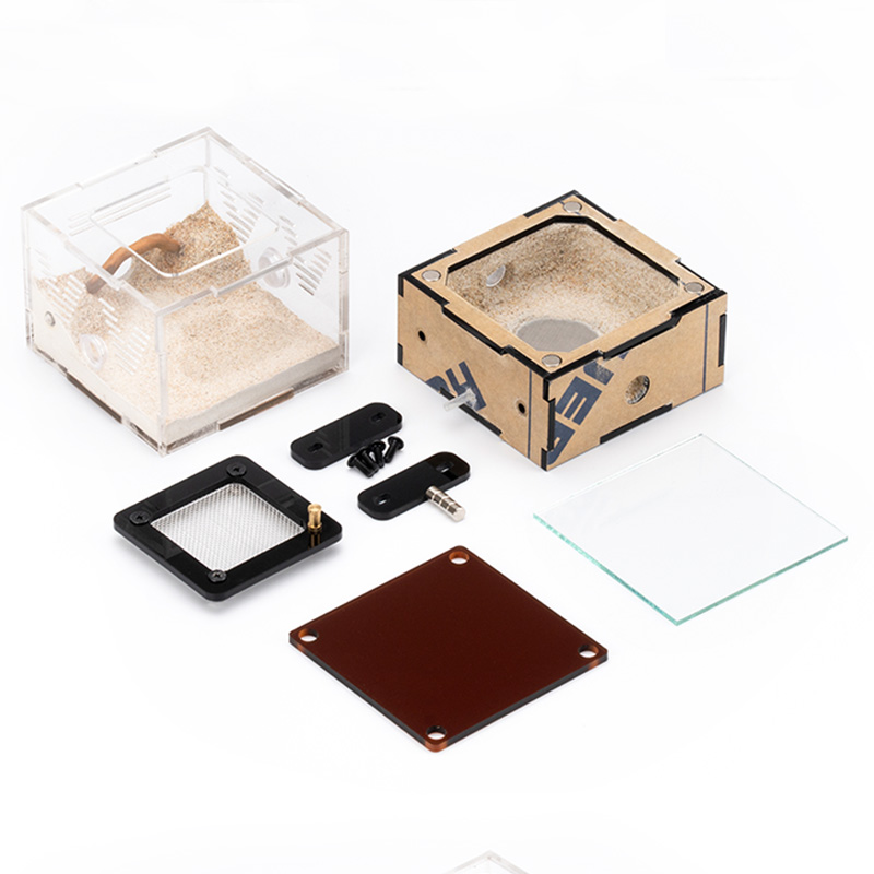 Nieskończona rozkładalna farma – Begonia Rex recenzja i cena